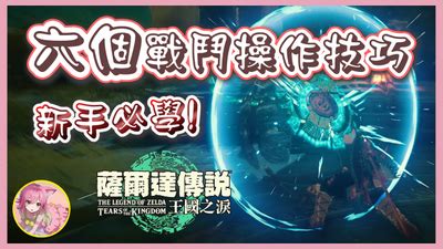 烏龜養幾隻最好|【新手必看】烏龜怎麽養？烏龜品種、禁忌、用品清單…